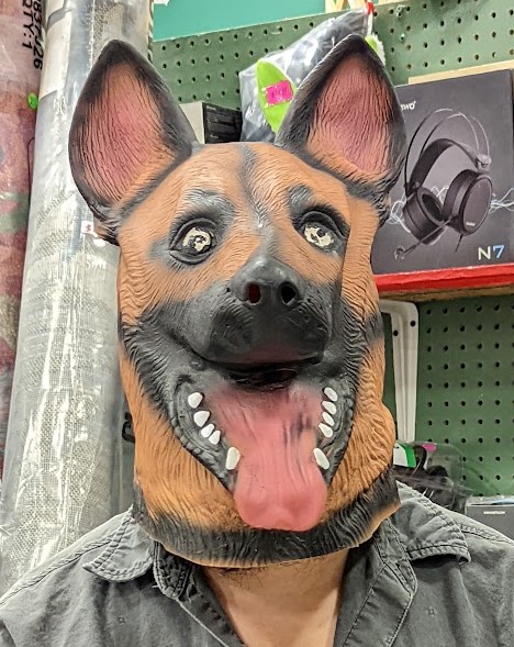 Man wearing a german shepherd mask.